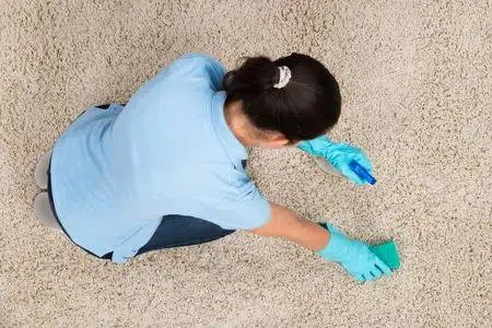 Scrubbing a carpet by hand with a brush and cleaning solution