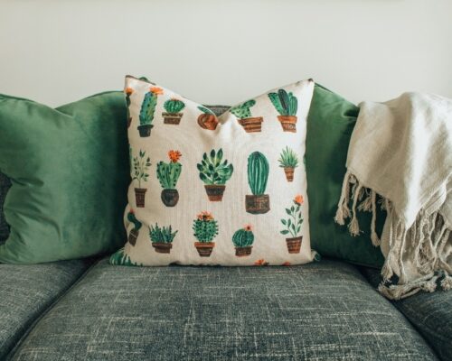pexels designecologist 1248583