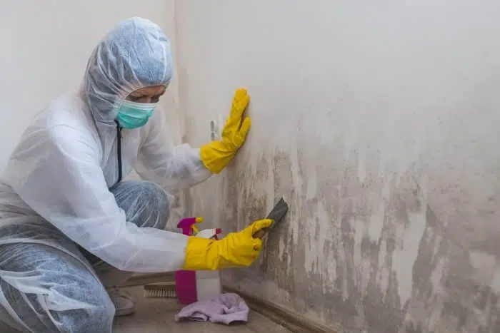 Water Damage Repair