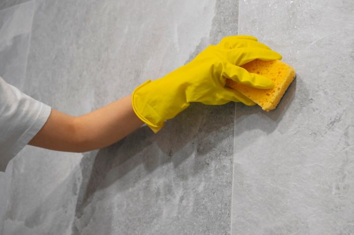 tile cleaning landscape