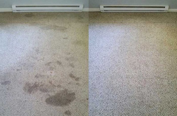 carpet before after 1