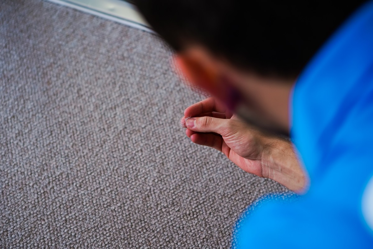 Optima Cleaners technician inspecting carpet fibres close up