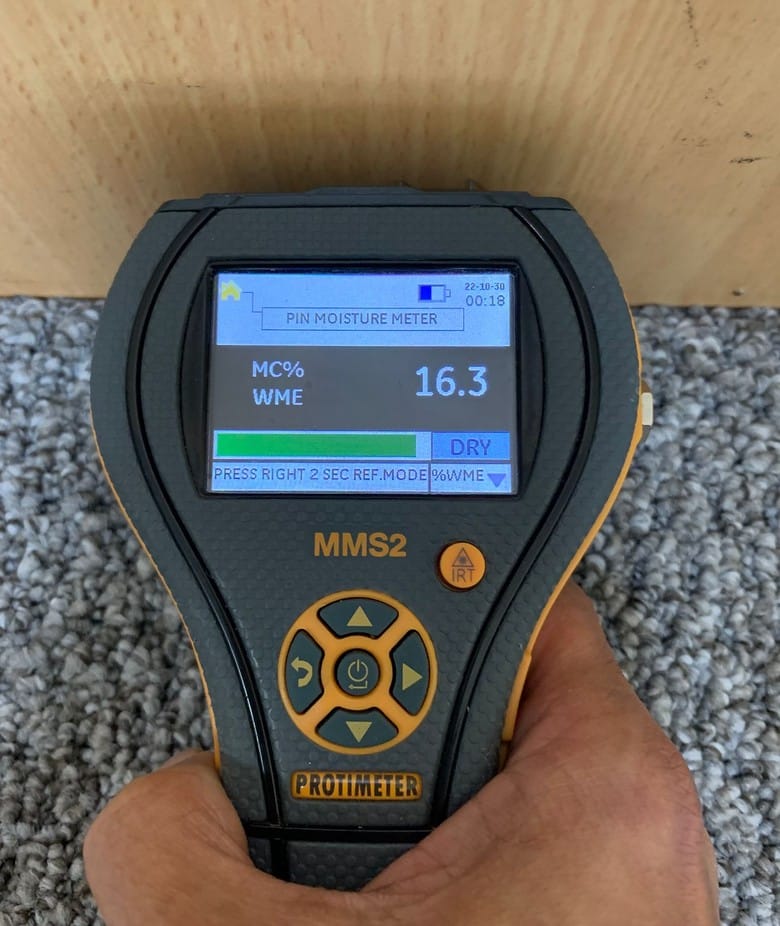 Moisture meter reading 16.3 percent and showing DRY after a carpet clean