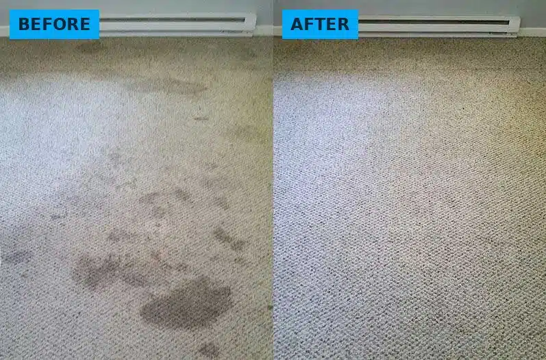 Carpet before and after being cleaned by hand, stains lifted